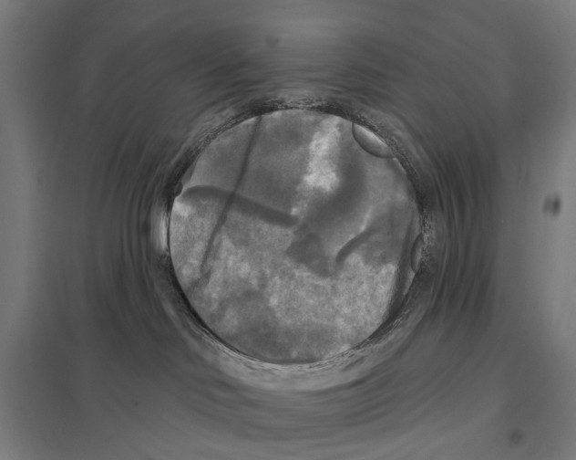 X0000097610046200803281023