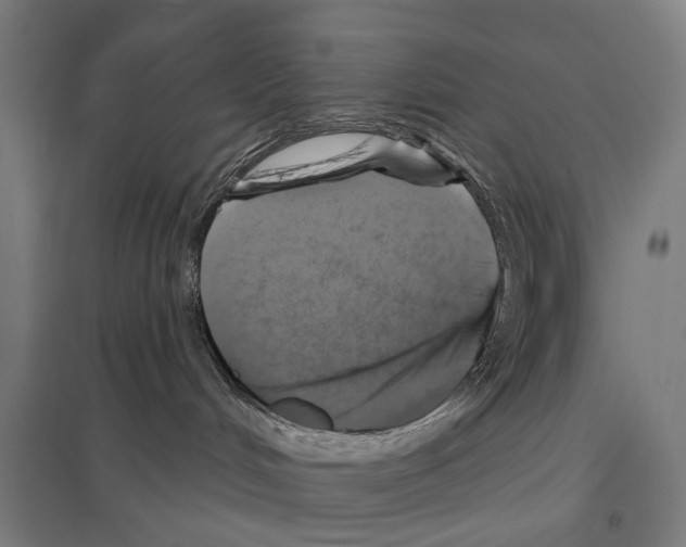 X0000097610048200803281023