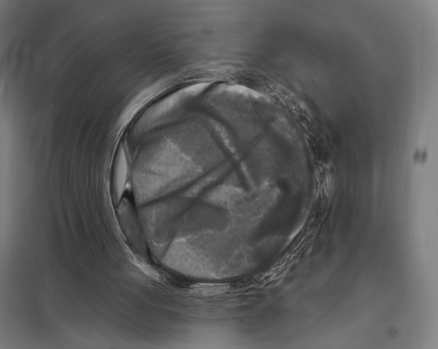 X0000097610051200803281023