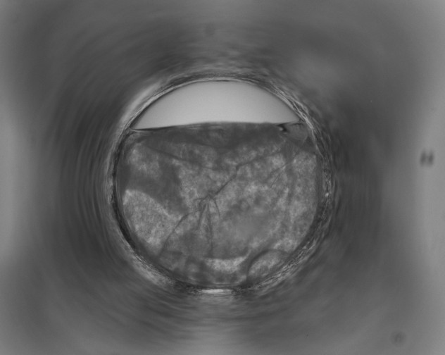 X0000097610053200803281023