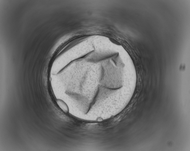 X0000097610054200803281023