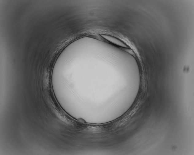 X0000097610057200803281023