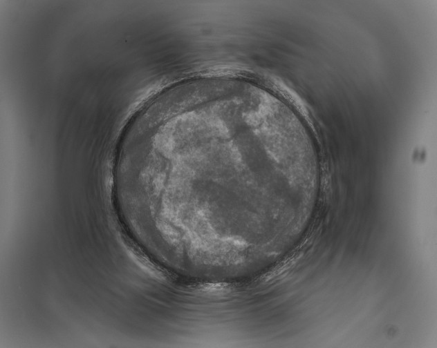 X0000097610059200803281023