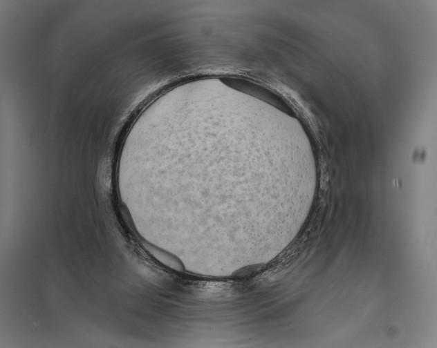 X0000097610060200803281023