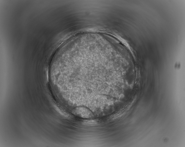 X0000097610061200803281023