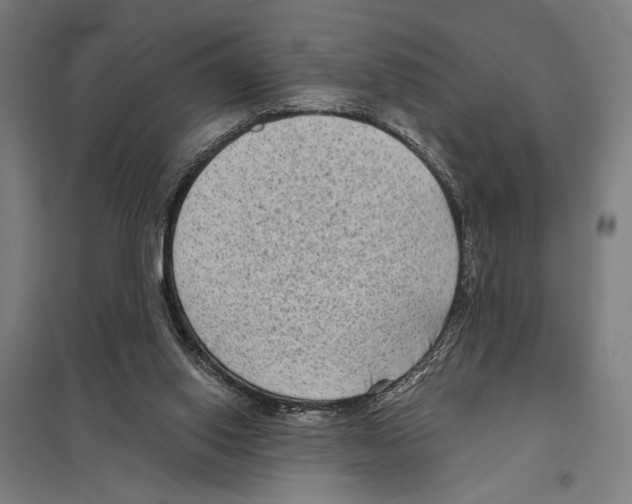 X0000097610062200803281023