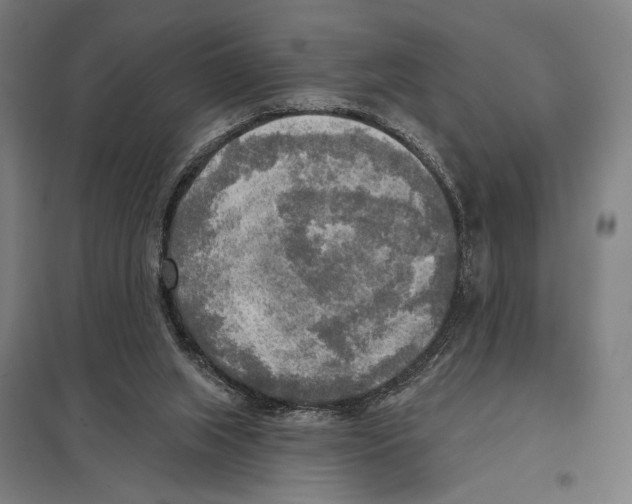 X0000097610063200803281023