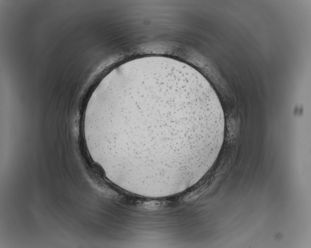 X0000097610064200803281023