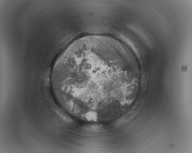 X0000097610065200803281023