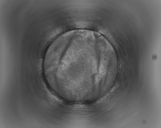 X0000097610066200803281023