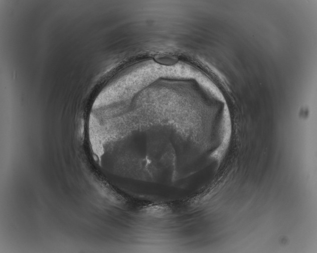 X0000097610067200803281023