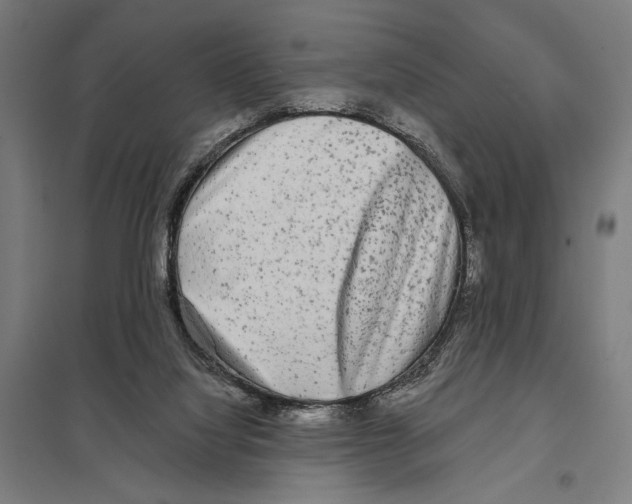 X0000097610068200803281023