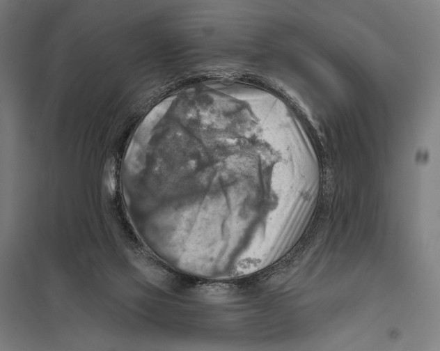 X0000097610069200803281023