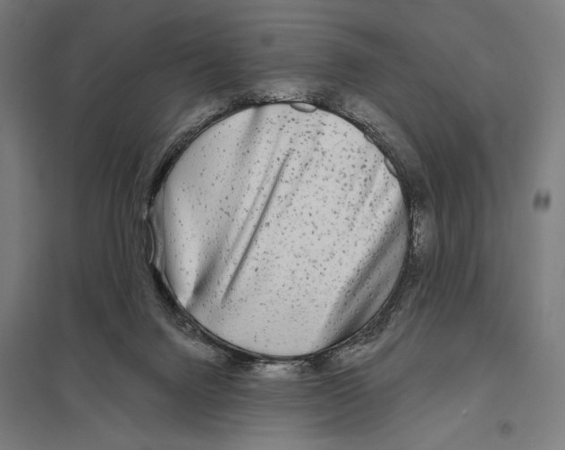 X0000097610072200803281023