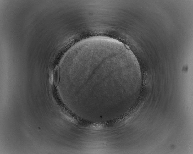 X0000097610076200803281023