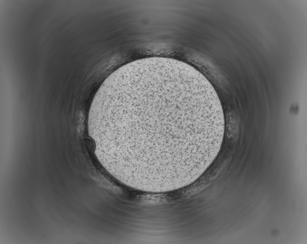 X0000097610077200803281023