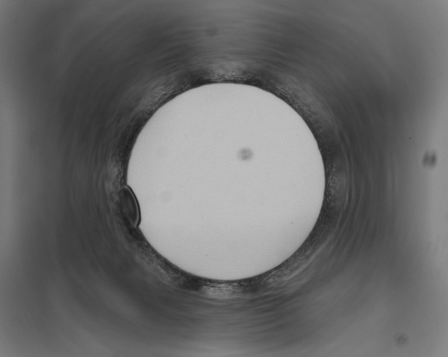 X0000097610079200803281023