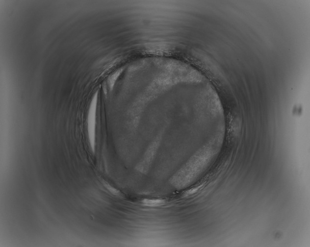 X0000097610080200803281023