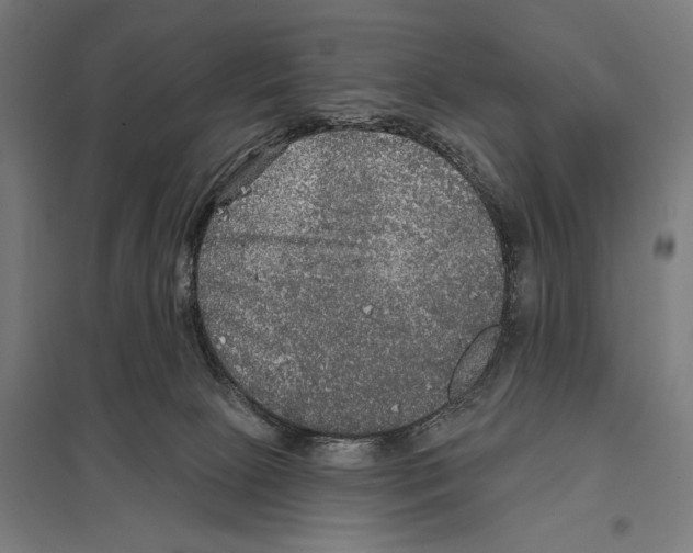 X0000097610081200803281023