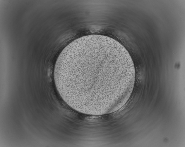 X0000097610082200803281023