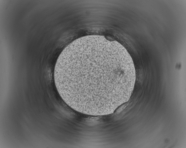 X0000097610086200803281023