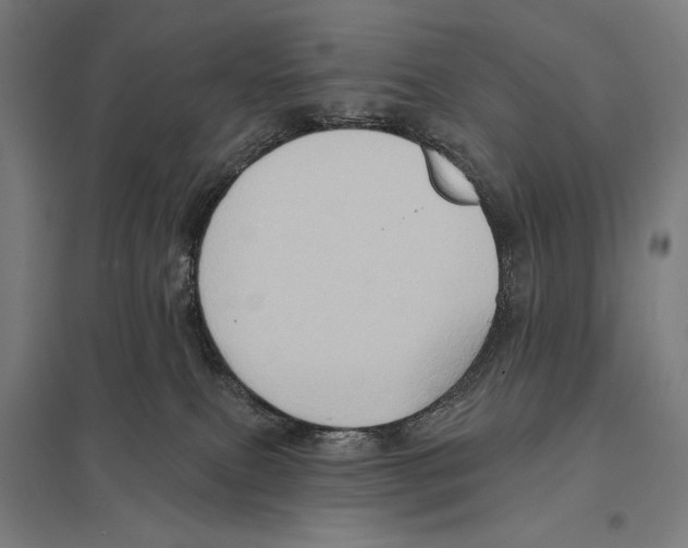 X0000097610087200803281023