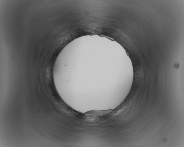 X0000097610088200803281023