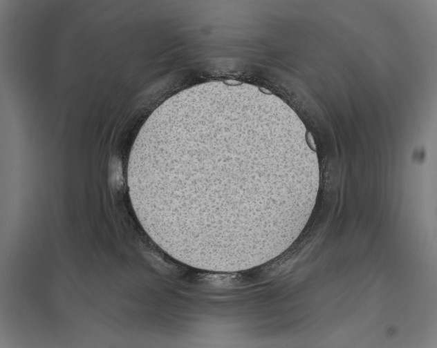 X0000097610089200803281023