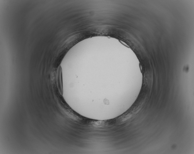 X0000097610092200803281023