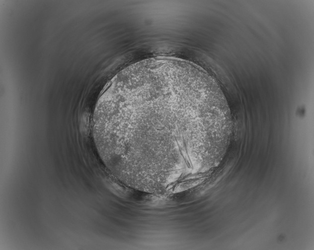 X0000097610093200803281023