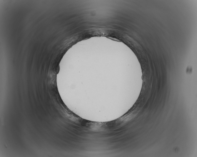 X0000097610096200803281023