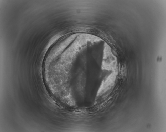 X0000097610099200803281023