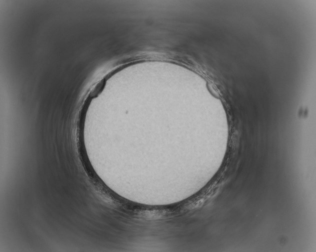 X0000097610103200803281023