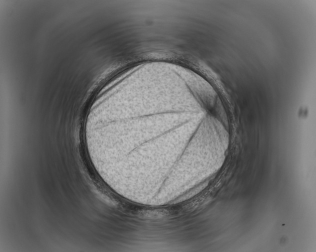 X0000097610106200803281023