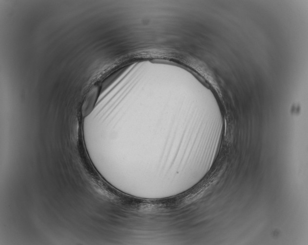 X0000097610109200803281022