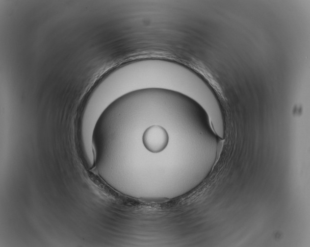 X0000097610110200803281022