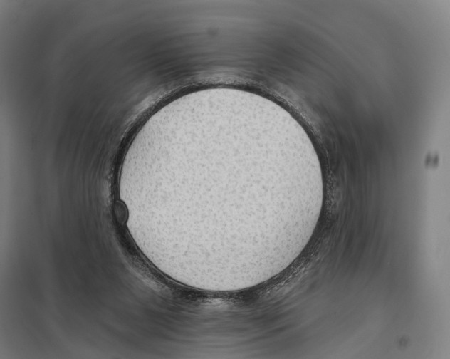 X0000097610111200803281022