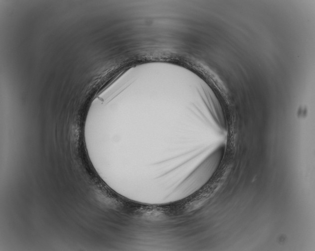 X0000097610113200803281022