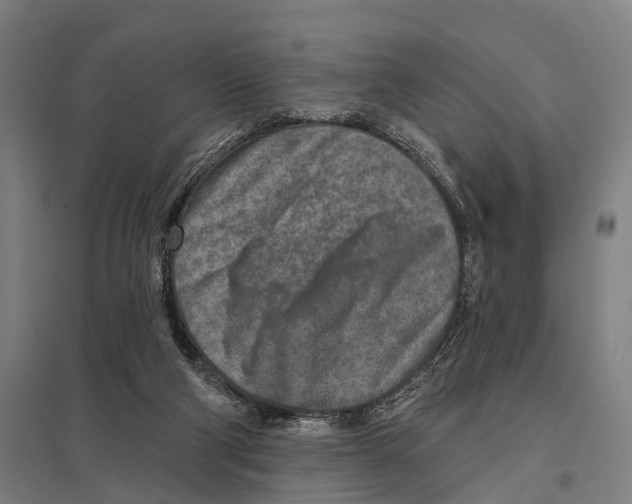 X0000097610114200803281022