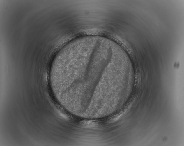 X0000097610117200803281022