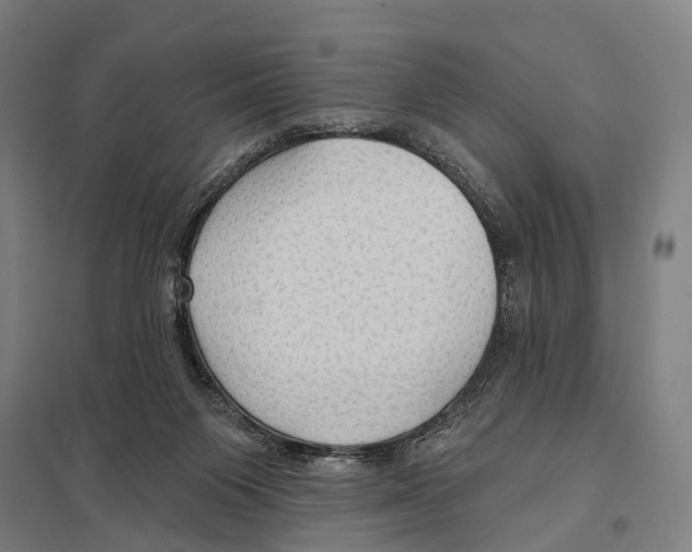 X0000097610119200803281022