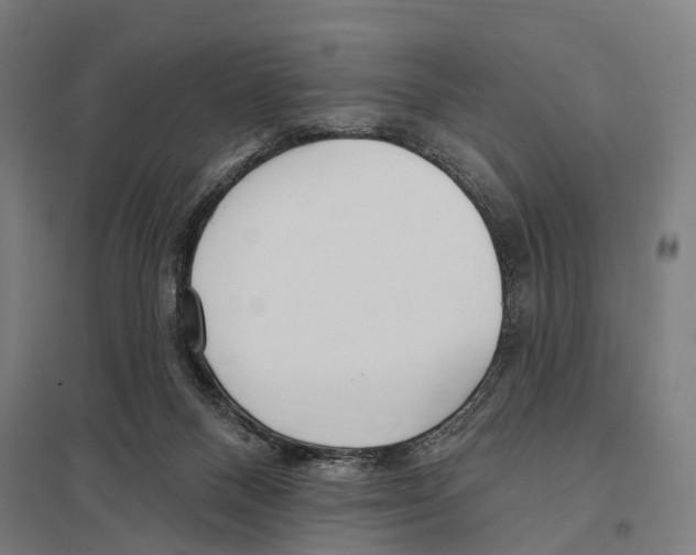 X0000097610120200803281022