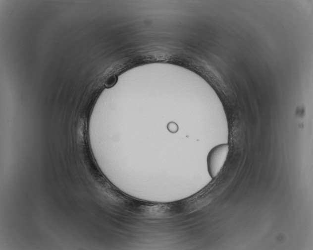 X0000097610122200803281022