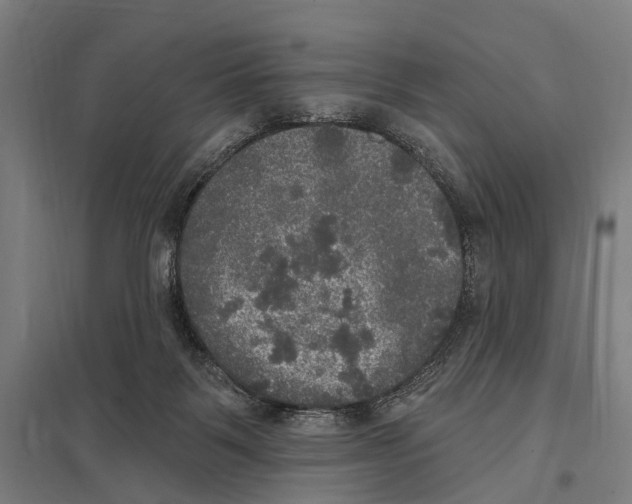 X0000097610123200803281022