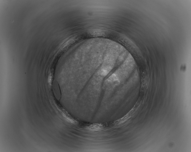 X0000097610124200803281022