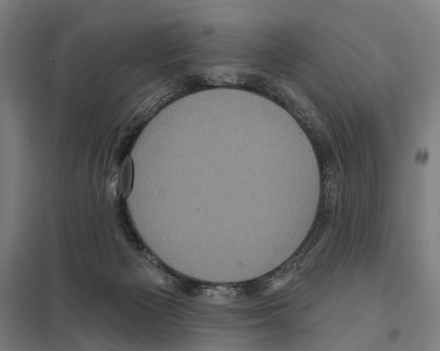 X0000097610125200803281022