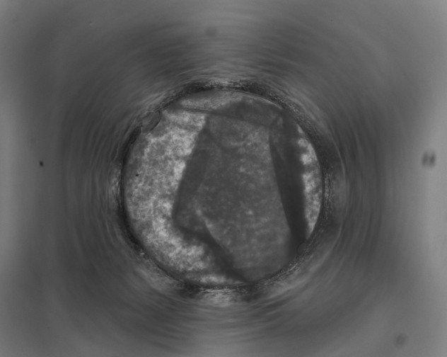 X0000097610127200803281022