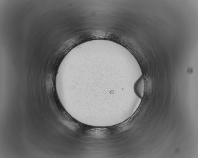 X0000097610128200803281022