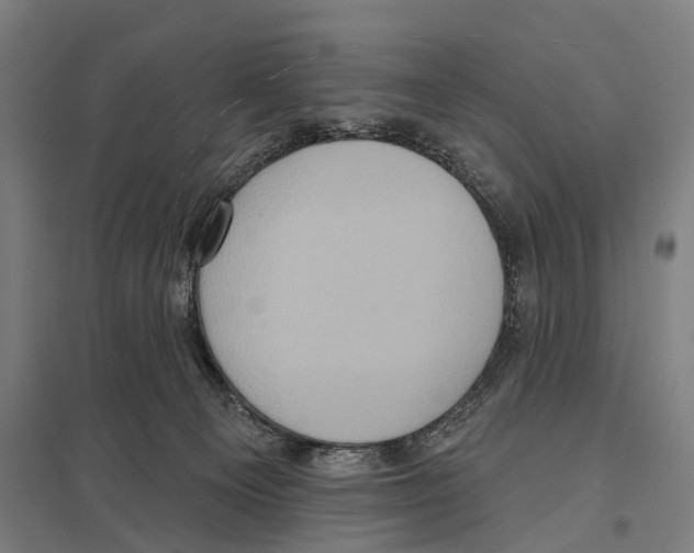 X0000097610129200803281022