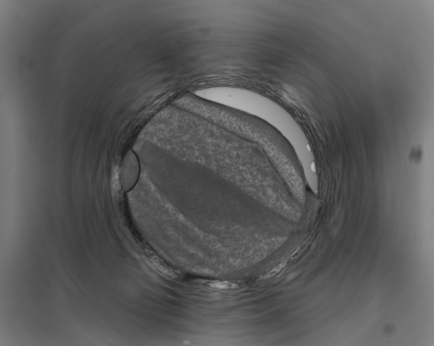 X0000097610130200803281022